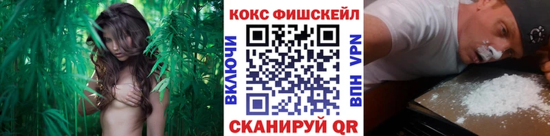 Купить Луховицы Кокаин 99%