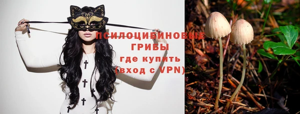 бошки Корсаков
