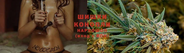 apvp Кодинск