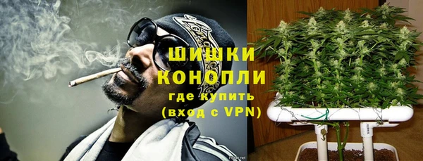 амф Костерёво