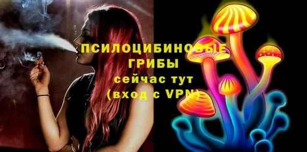 apvp Кодинск