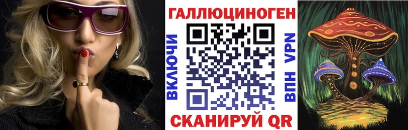 Купить  Луховицы  Галлюциногенные грибы Psilocybine cubensis 